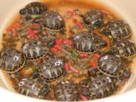 Angeh�ngtes Bild: big61493110600450702025.jpg