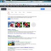 Angeh�ngtes Bild: ohne Search Preview.JPG