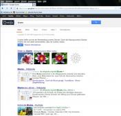 Angeh�ngtes Bild: Search Preview.JPG