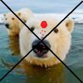 Angeh�ngtes Bild: av-69407.jpg