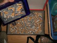 Angeh�ngtes Bild: CIMG0462.JPG