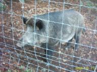 Angeh�ngtes Bild: IMG_0018.JPG