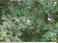 Angeh�ngtes Bild: desktop090907.jpg