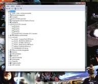 Angeh�ngtes Bild: Ger_temanager.jpg