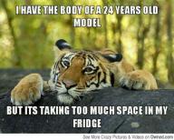 Angeh�ngtes Bild: https%3A%2F%2F38.media.tumblr.com%2F7daaa2b989bde0082b1eb20614a8a3f6%2Ftumblr_ncivvgNpeF1snftp2o1_500.jpg