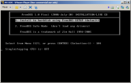 Angeh�ngtes Bild: VMware-FreeDOS-2.png