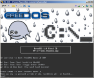 Angehängtes Bild: VMware-FreeDOS-1.png