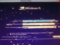 Angehngtes Bild: 29102012277.jpg