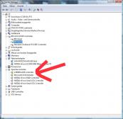 Angehngtes Bild: Ger_temanager.jpg