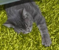 Angeh�ngtes Bild: ScreenHunter_19.jpg