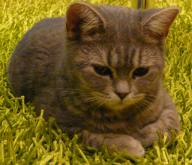 Angeh�ngtes Bild: ScreenHunter_20.jpg