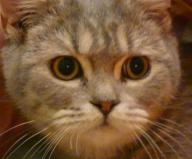 Angeh�ngtes Bild: ScreenHunter_23.jpg