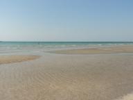 Angeh�ngtes Bild: post_22429_1289565486_thumb.jpg