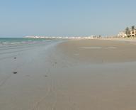 Angeh�ngtes Bild: post_22429_1289565500_thumb.jpg