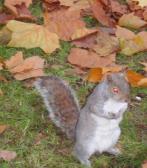 Angeh�ngtes Bild: h�rnchen.jpg