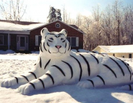 Angeh�ngtes Bild: Unbenannt.PNG