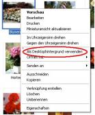 Angehngtes Bild: Hintergrund.JPG