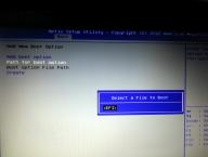 Angehngtes Bild: bios11.jpg