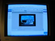 Angeh�ngtes Bild: DSC03076.JPG