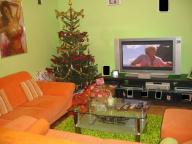 Angeh�ngtes Bild: ScreenHunter_07.jpg