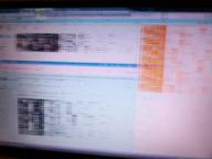 Angehngtes Bild: 100_2055.JPG