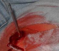 Angeh�ngtes Bild: SDC10410.jpg