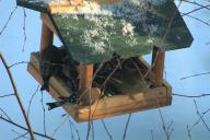 Angehngtes Bild: vogelhaus.jpg