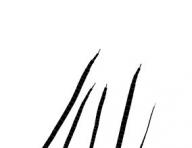 Angehngtes Bild: Unbenannt-1.jpg