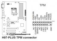Angehngtes Bild: TPM Asus H97-Plus.jpg