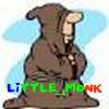 little_monks Foto