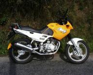 Angeh�ngtes Bild: dandy.jpg