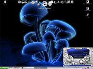 Angeh�ngtes Bild: dfesk.jpg