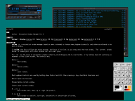 Angehngtes Bild: minka_5.png