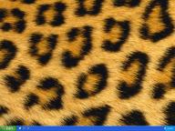 Angehngtes Bild: Desktop_02.07.03.jpg