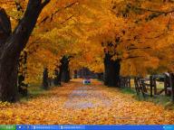 Angeh�ngtes Bild: desk.jpg