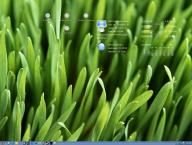 Angehngtes Bild: November_Desk.JPG