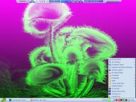 Angeh�ngtes Bild: DESKTOP.jpg