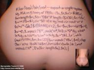 Angeh�ngtes Bild: perl.jpg