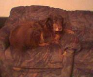 Angeh�ngtes Bild: Bild039.jpg