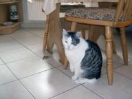 Angehngtes Bild: Max.JPG