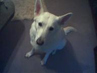 Angehngtes Bild: Foto_10_.jpg