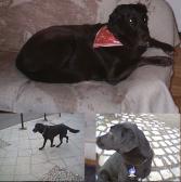 Angeh�ngtes Bild: Zwischenablage02.jpg