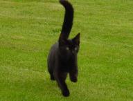 Angeh�ngtes Bild: Forum2.jpg