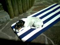 Angehngtes Bild: 04_04_16_6_.jpg