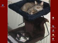 Angeh�ngtes Bild: BS1.jpg