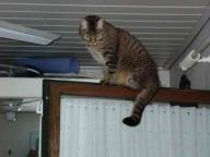 Angeh�ngtes Bild: tequilla7.JPG