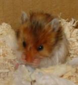 Angeh�ngtes Bild: smarty.JPG