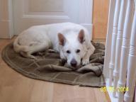 Angeh�ngtes Bild: habi.jpg