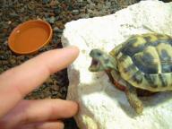 Angeh�ngtes Bild: monster.jpg