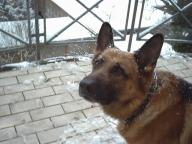 Angehngtes Bild: Bild_7.jpg